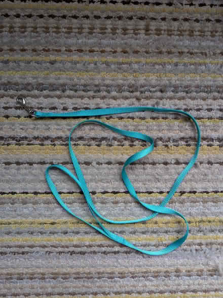 Photo of free Pet Leash (2) (Quickie on Parkdale & Scott) #1