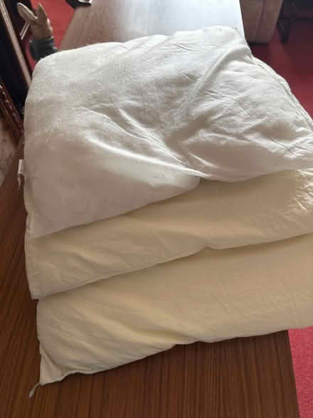 Photo of free Old cushion pads for pets (CW2 6) #1