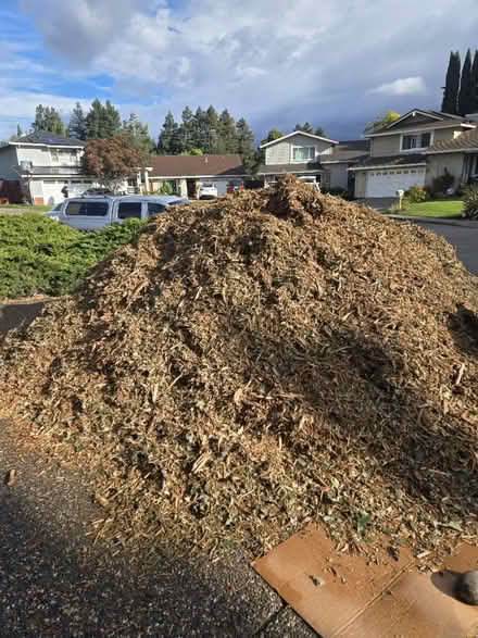 Photo of free Woodchips/mulch (San Ramon) #2