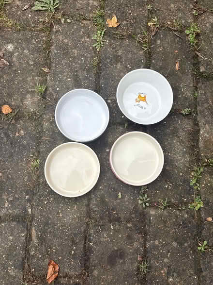 Photo of free Ceramic cat/pet bowls (Boxmoor, Hemel Hempstead) #1