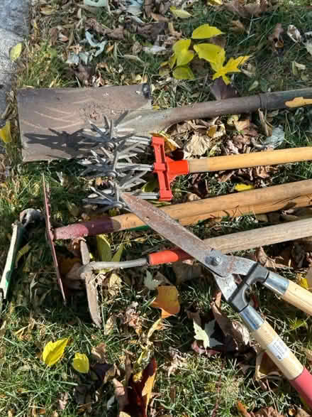 Photo of free Yard tools - curb pickup on grass (Wheaton - Dawes and Williston) #1