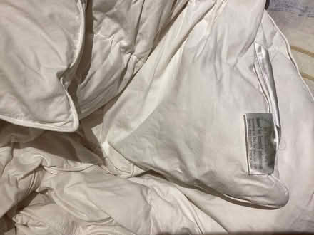 Photo of free Feather duvet - single (Steventon SY8) #1