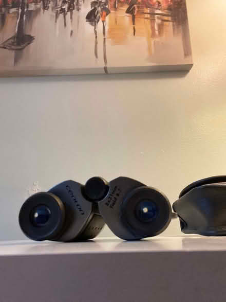Photo of free Compact/pocket pair of binoculars with case (Haywards Heath RH16) #3