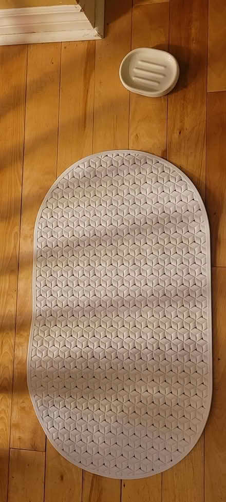 Photo of free bath mat, soap dish (131 Wesley Avenue) #1