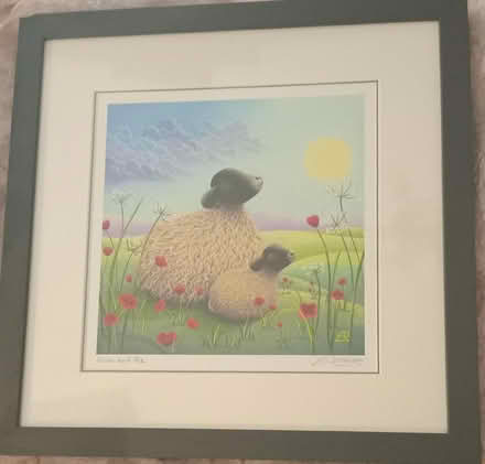 Photo of free Framed picture of mother and baby sheep (NW2) #1
