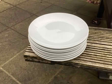 Photo of free Dinner plates (Areley Kings DY13) #1