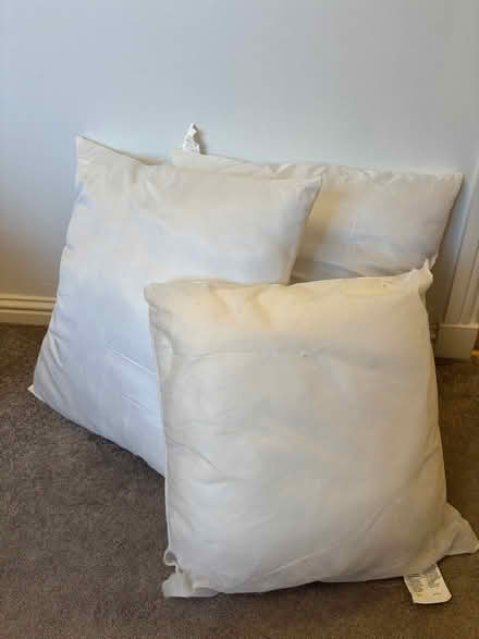 Photo of free Cushion inners (AB32) #1