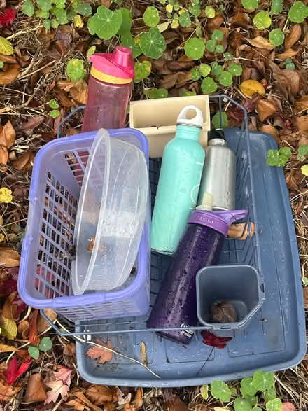 Photo of free Dish rack, water bottles (North Berkeley) #1