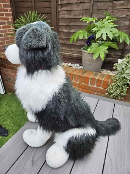 Photo of free Dog doorstop (Shenley) #2