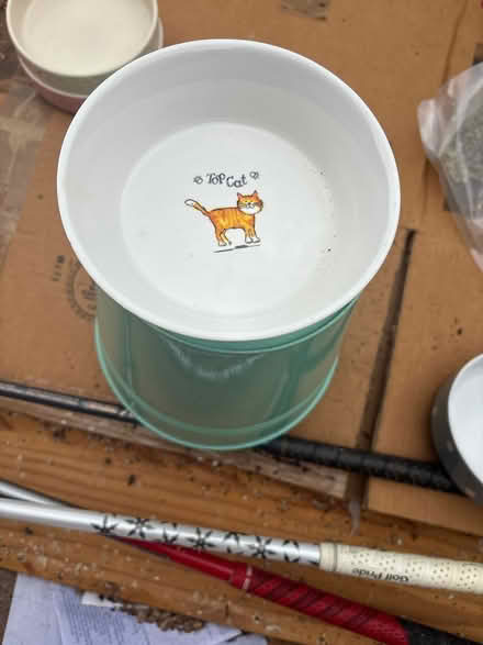 Photo of free Ceramic cat/pet bowls (Boxmoor, Hemel Hempstead) #4