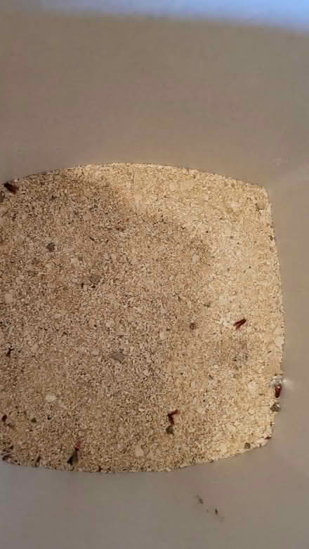 Photo of free Marine tank rocks and sand (Adlington PR7) #1