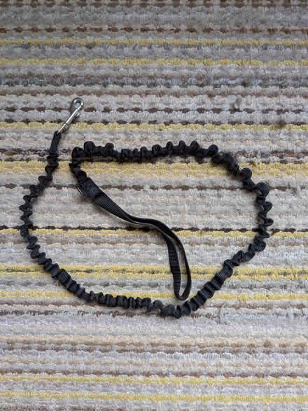 Photo of free Pet Leash (2) (Quickie on Parkdale & Scott) #2