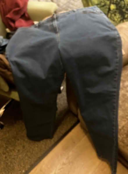 Photo of free Bundle Ladies Jeans and shorts, size 18-20 (High Bentham LA2) #4