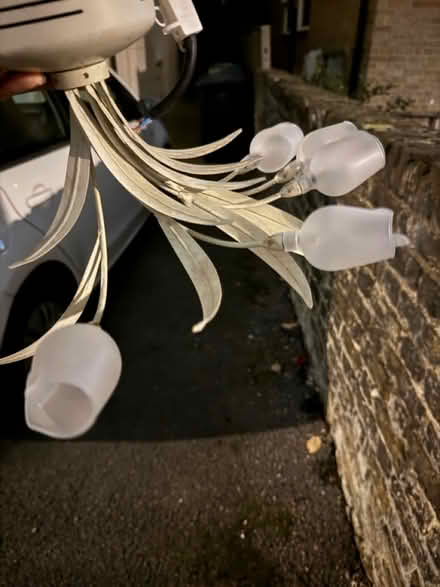 Photo of free X5 tulip flower ceiling light (croydon) #3