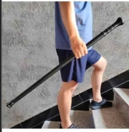 Photo of Cane (Churchil Meadows & Thomas st) #2