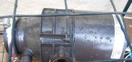 Photo of free 3/4 HP AC Electric Motor (Richmond) #1