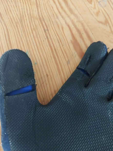 Photo of free Medium neoprene gloves (Cutteslowe OX2) #2