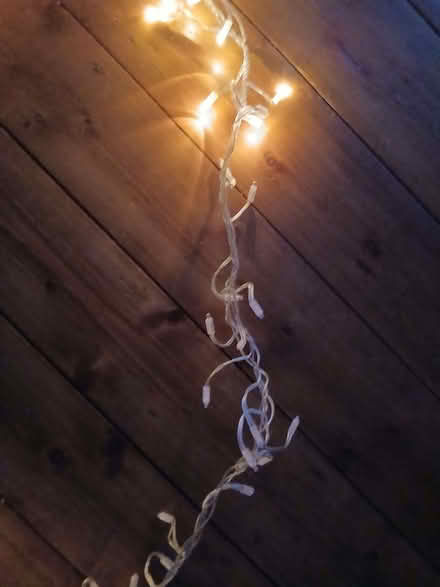 Photo of free String of lights (High Heaton) #1