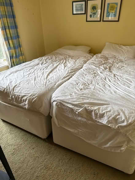 Photo of free Beds or double bed (Poole BH14) #1