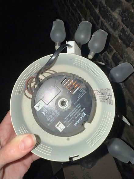 Photo of free X5 tulip flower ceiling light (croydon) #2