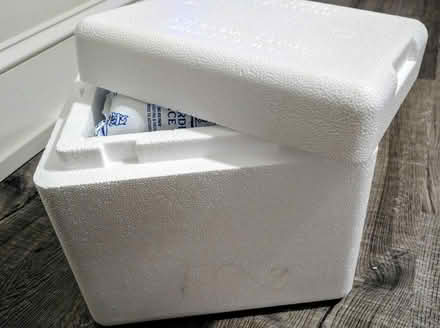 Photo of free Styrofoam cooler (11x12") w ice (Allston) #1