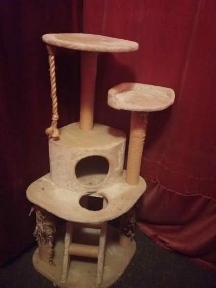 Photo of free cat tree (G20 Glasgow Maryhill) #2