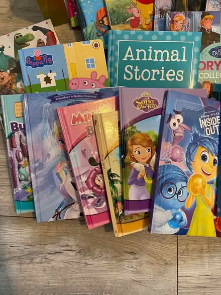 Photo of free Childrens large book bundle x 22 (Horndon SS17) #3
