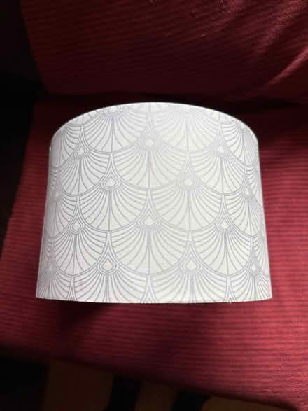 Photo of free Lampshade (Wilden DY13) #2