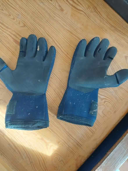 Photo of free Medium neoprene gloves (Cutteslowe OX2) #1
