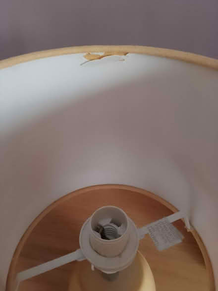 Photo of free Lampshade & pair of bedside lamps (Moreton Hall BSE) #4