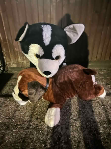 Photo of free Toys (Se96nz SE9) #1