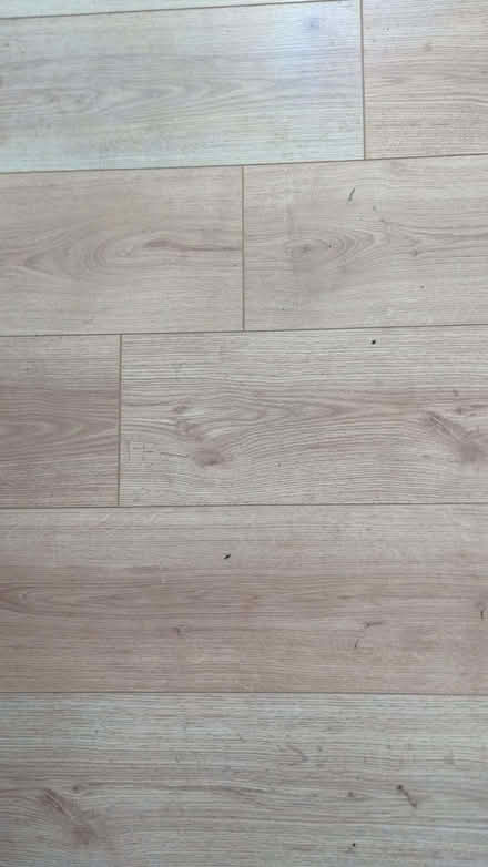 Photo of free Used laminate flooring - light oak effect (Cramlington NE23) #3