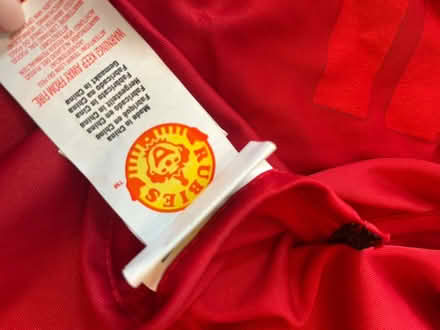 Photo of free Fancy Dress- Adult Robin (Shepperton, TW17) #3