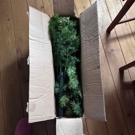 Photo of free 4feet Christmas tree (Water Eaton MK2) #1