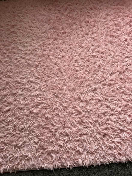 Photo of free Girls soft pink rug (190x130cm) (Wye (TN25)) #2