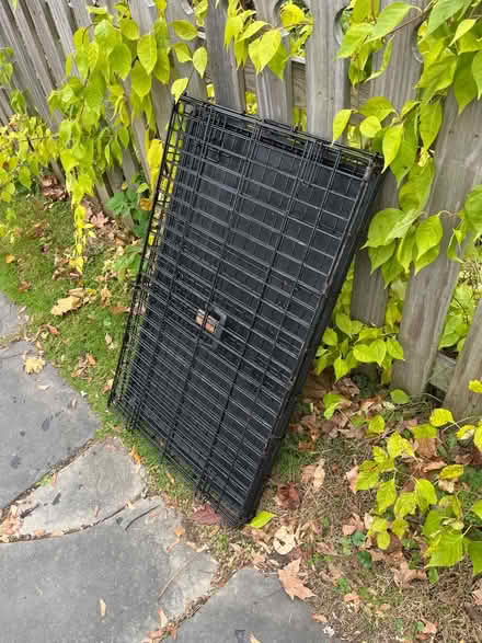 Photo of free Dog crate black wire (Rhinebeck village) #3
