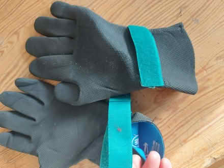 Photo of free Medium sized neoprene (wetsuit) gloves (Cutteslowe OX2) #1