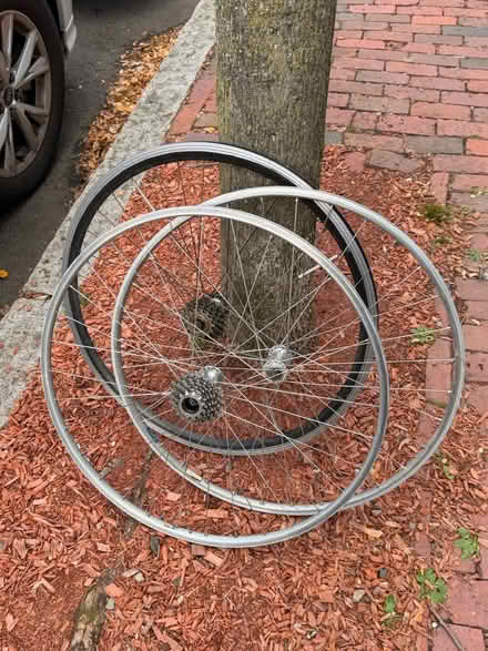 Photo of free bike rims (Cambridge City Hall) #1