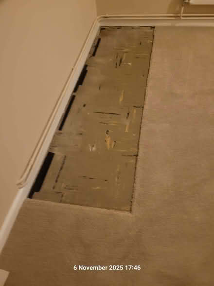 Photo of free Beige carpet - 9 ft x 14.5 ft (Writtle CM1) #1