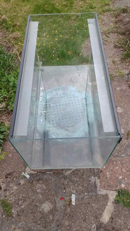 Photo of free aquarium (Eastcote HA4) #2