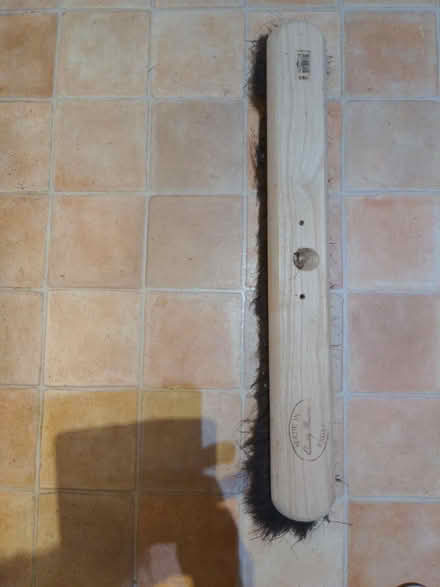 Photo of free Broom head (Heathfield) #2