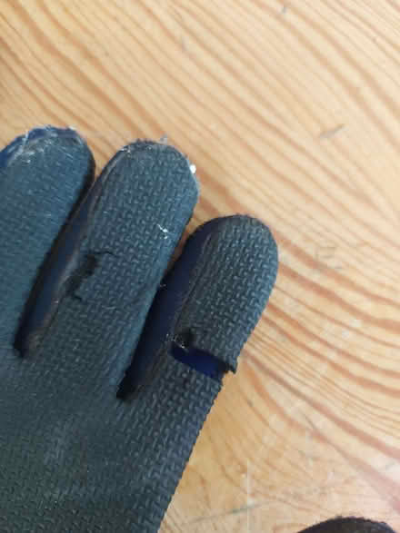 Photo of free Medium neoprene gloves (Cutteslowe OX2) #3