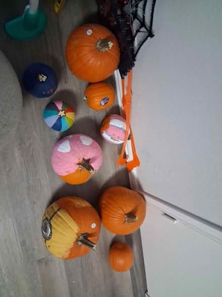 Photo of free pumpkins (76131) #1