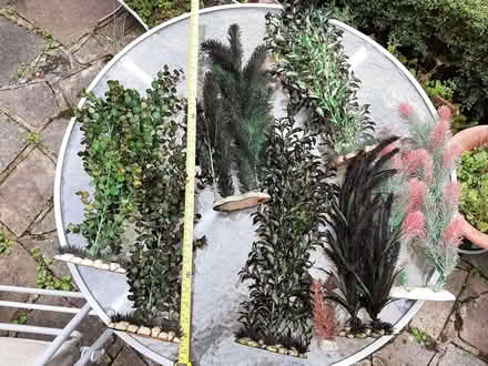 Photo of free Plastic Aquarium Plants (Woodford IG8) #2