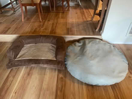 Photo of free dog beds (Bothell/mill creek) #1