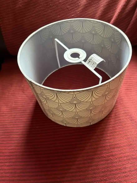 Photo of free Lampshade (Wilden DY13) #1