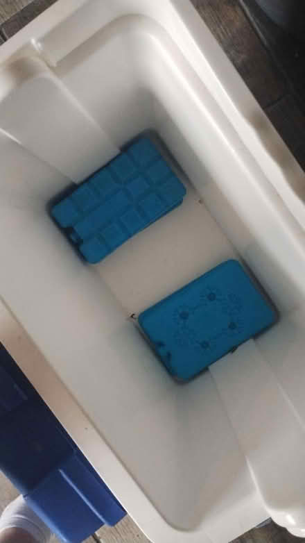 Photo of free Cool box and 4 ice blocks (Allesley CV5) #3
