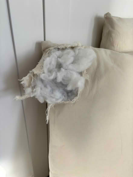 Photo of free 4 big floor cushions 80 x 80 cm (Widcombe) #3