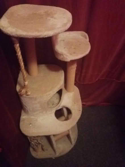 Photo of free cat tree (G20 Glasgow Maryhill) #1
