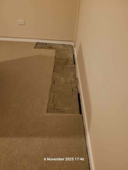 Photo of free Beige carpet - 9 ft x 14.5 ft (Writtle CM1) #2